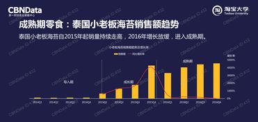 軟件賦能中國市場 2025年互聯網數據與軟件開發新趨勢洞察